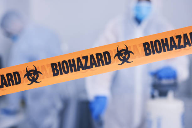 Professional Odor Removal technician working in Westhampton, NY